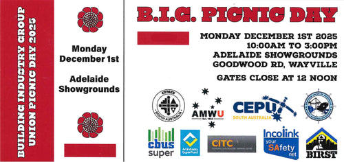 B.I.G Picnic Day Tickets